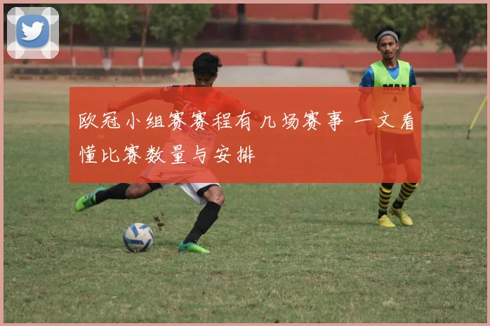 欧冠小组赛赛程有几场赛事 一文看懂比赛数量与安排
