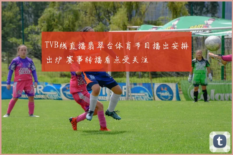TVB线直播翡翠台体育节目播出安排出炉 赛事转播看点受关注