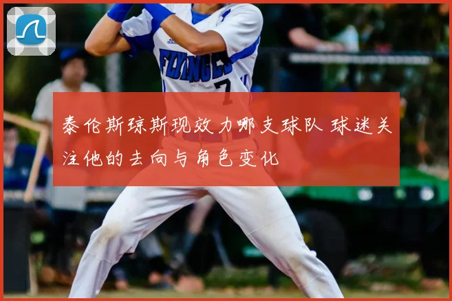 泰伦斯琼斯现效力哪支球队 球迷关注他的去向与角色变化